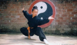 八卦掌视频,视频解析传统武术奥秘